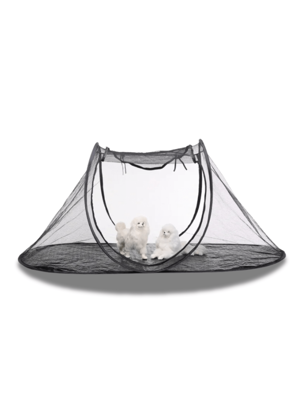 Tente Avenue Animaux Extérieur