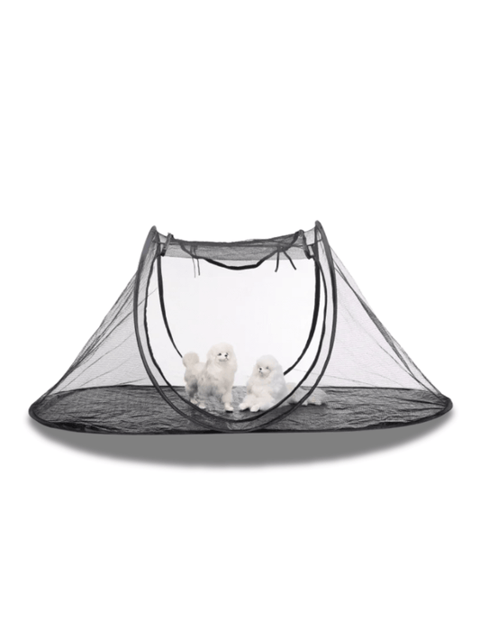Tente Avenue Animaux Extérieur