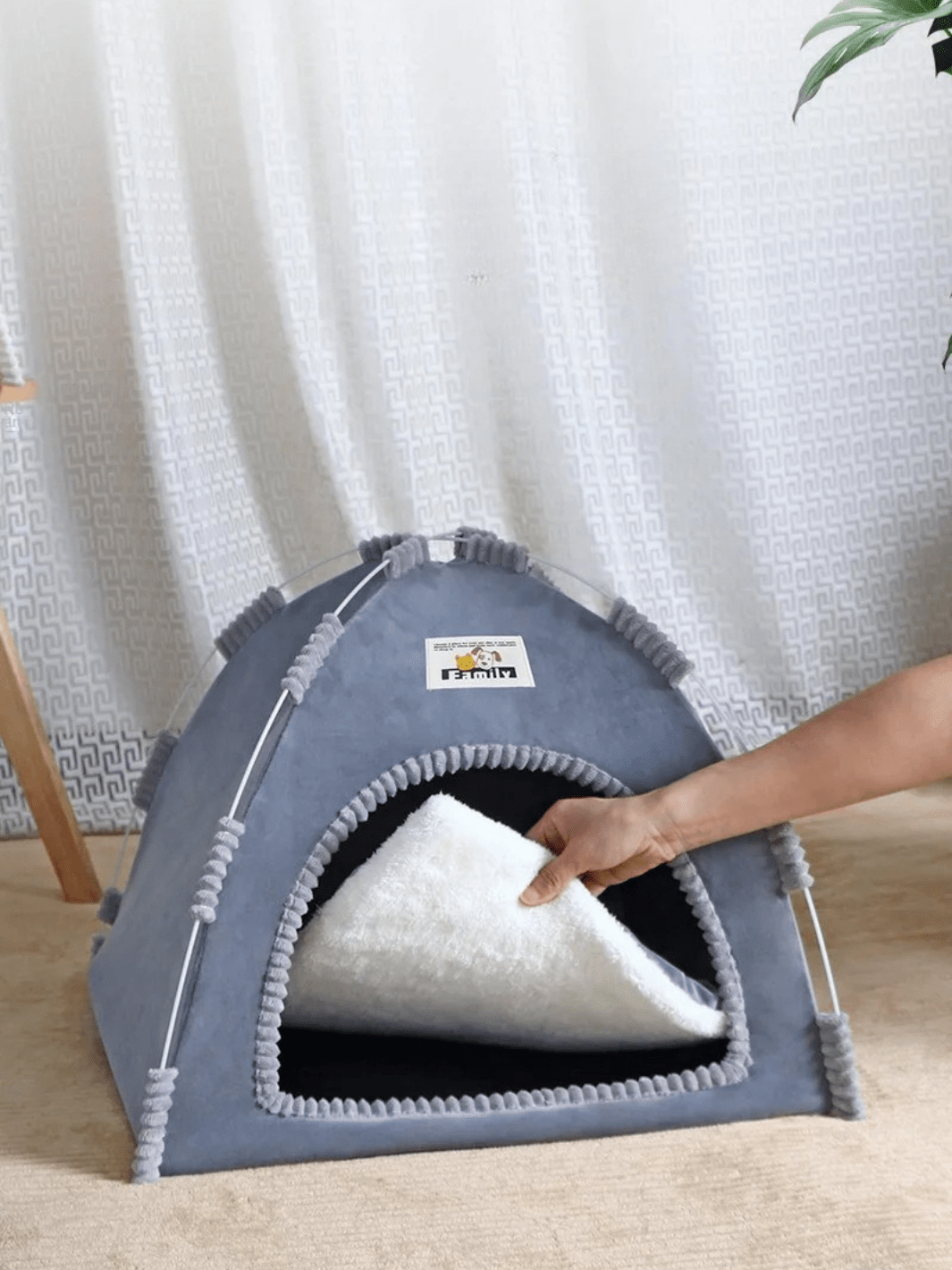 tente pour chats