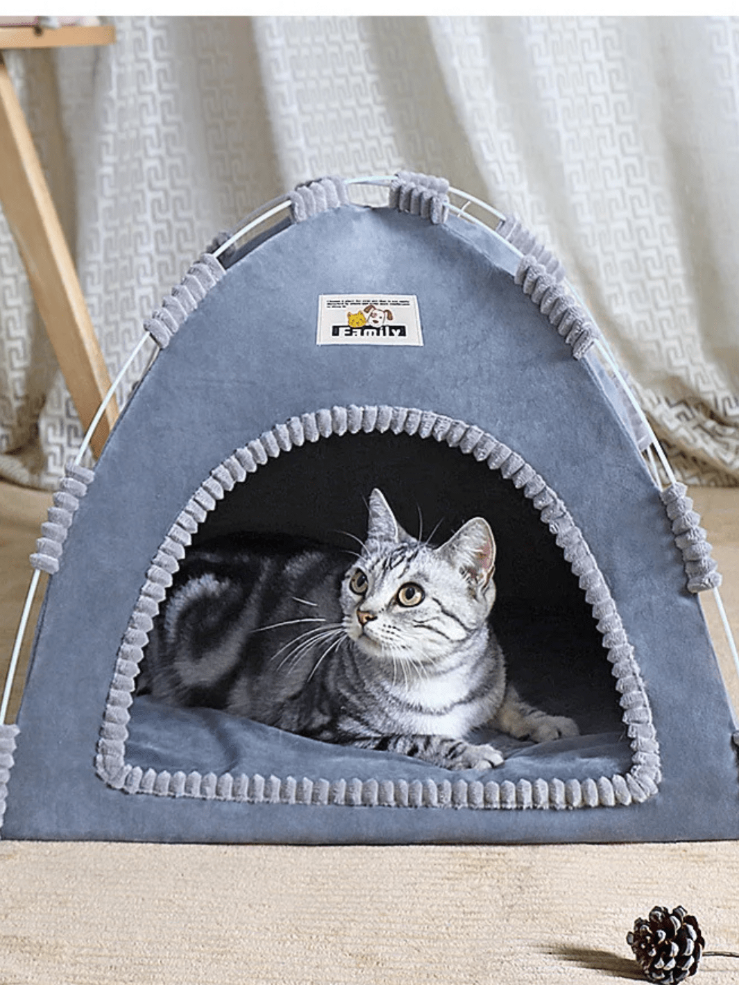 tente pour chats