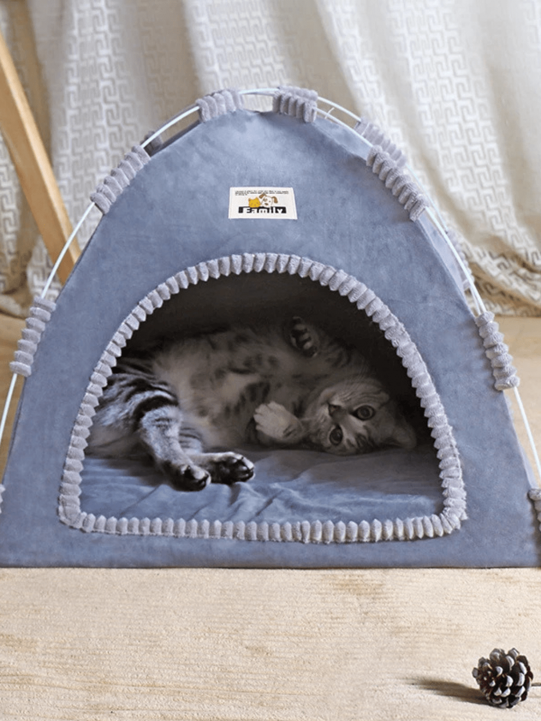 tente pour chats