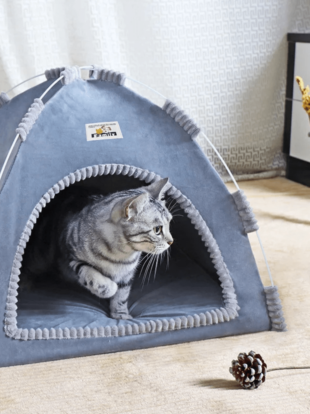 tente pour chats