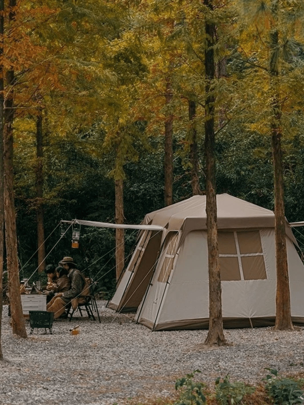 toile de tente camping 8 personnes